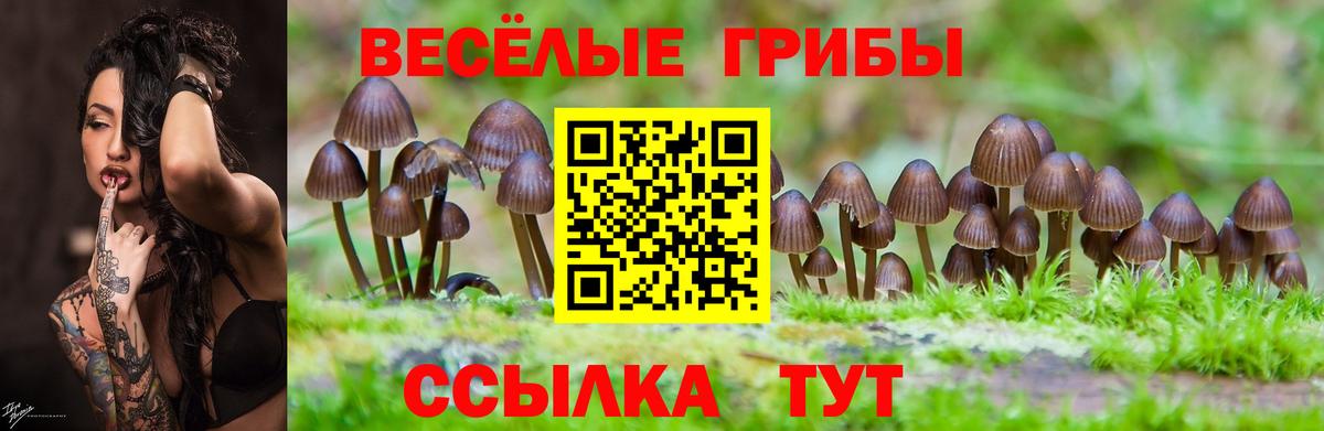 Псилоцибиновые грибы MAGIC MUSHROOMS  купить закладку  Топки  Вход с VPN 
